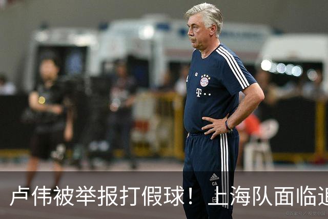 卢伟被举报打假球！上海队面临追罚，张镇麟坑惨球队